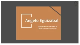 Angelo Eguizabal - Experienced in Project Development