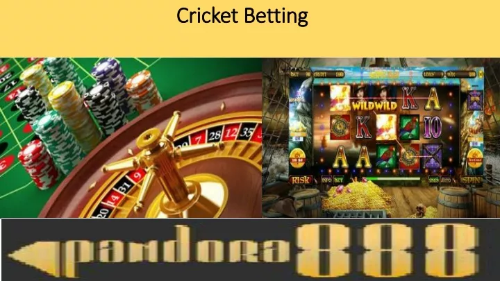 cricket betting
