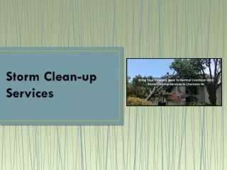 storm clean up services