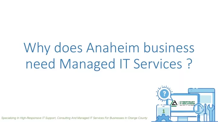 why does anaheim business need managed it services