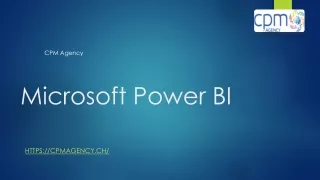 Microsoft Power BI - CPM Agency