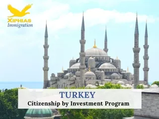turkey