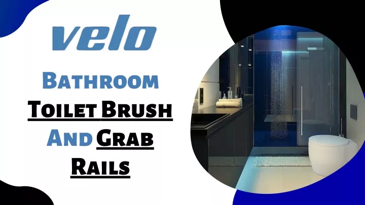 bathroom toilet brush and grab rails