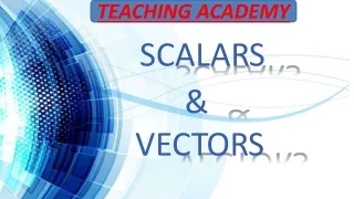 scaler and vectors