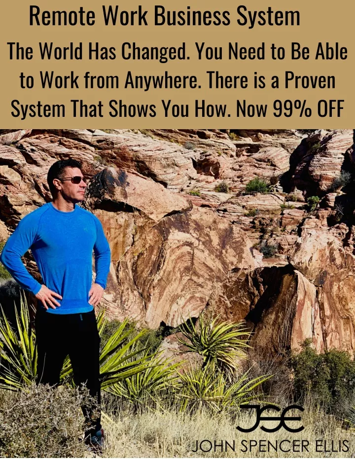remote work business system
