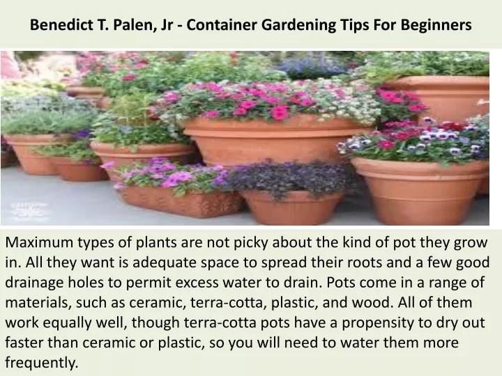 benedict t palen jr container gardening tips for beginners
