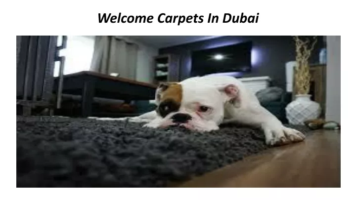 welcome carpets in dubai