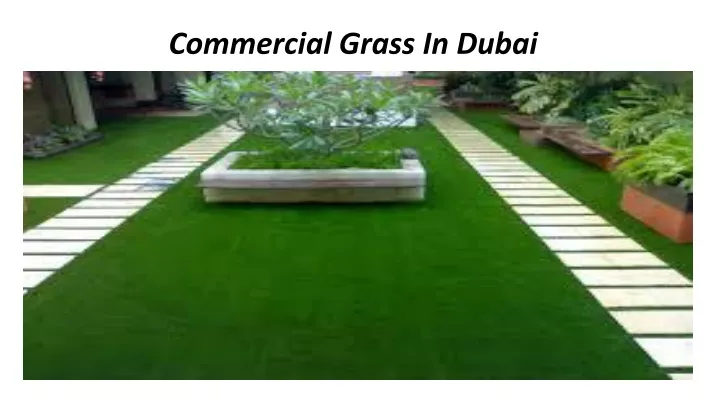 commercial grass in dubai