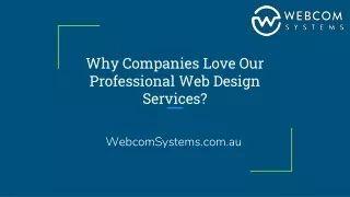 Why Companies Love Our Professional Web Design Services?