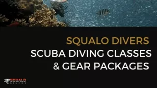 North Miami Divers - Scuba Diving Classes & Gear Packages