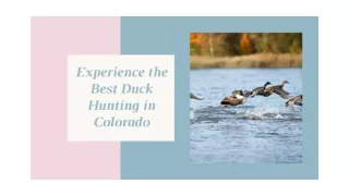 Best Duck Hunting in Colorado Experience