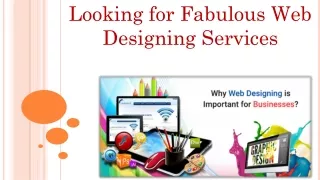 Looking for Fabulous Web Designing Services