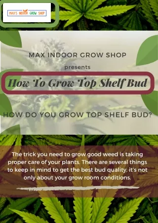 How to Grow Top-Shelf Weed | Max's Indoor Grow Shop