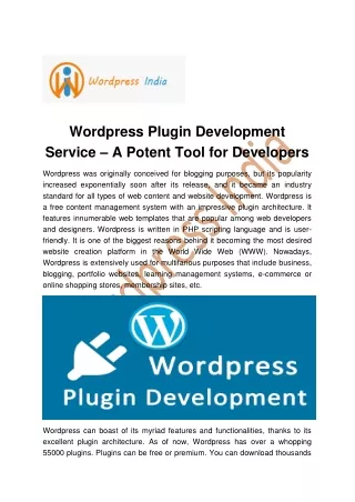 wordpress plugin development service a potent