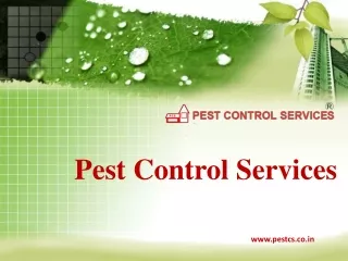 Pest Control Services Company in India