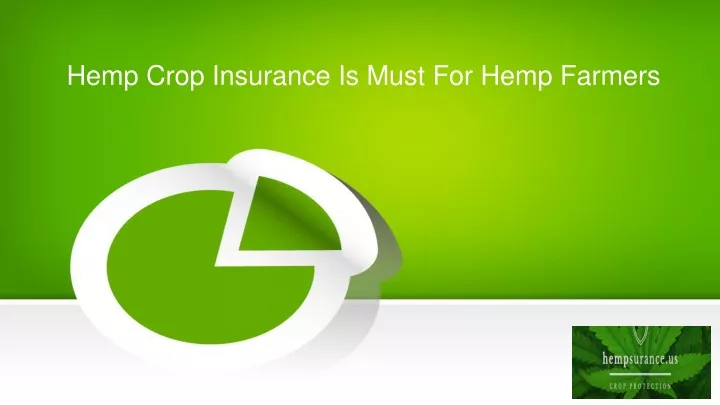 hemp crop insurance is must for hemp farmers