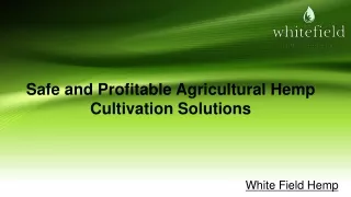 Safe and Profitable Agricultural Hemp Cultivation Solutions