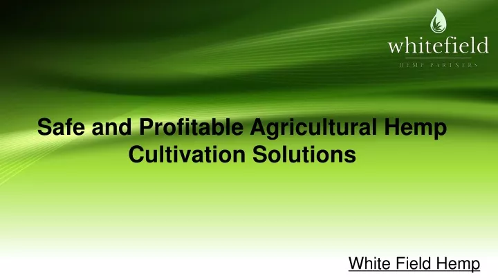 safe and profitable agricultural hemp cultivation solutions