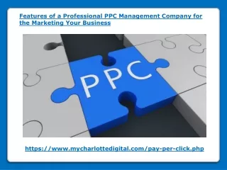 features of a professional ppc management company