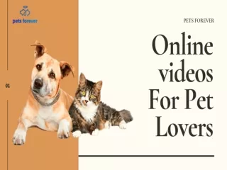 Online videos For Pet Lovers
