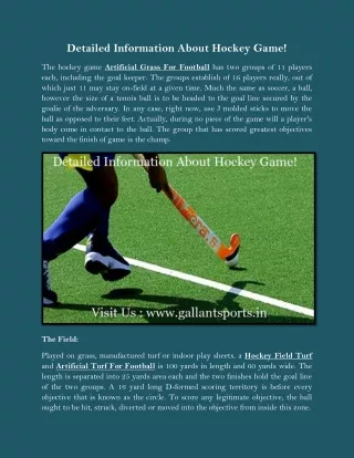 Detailed Information About Hockey Game!