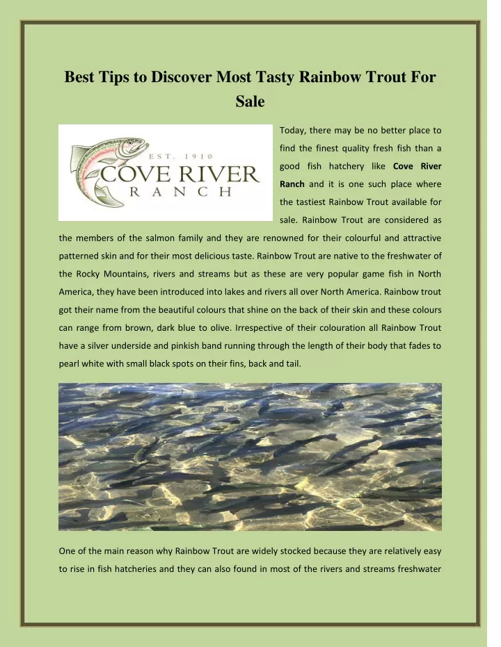 best tips to discover most tasty rainbow trout