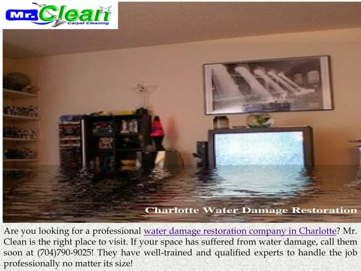 are you looking for a professional water damage