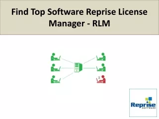 Find Top Software Reprise License Manager - RLM