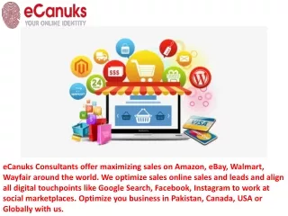 ecanuks consultants offer maximizing sales