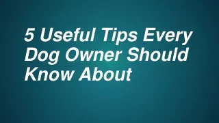 5 useful tips every dog owner should know about