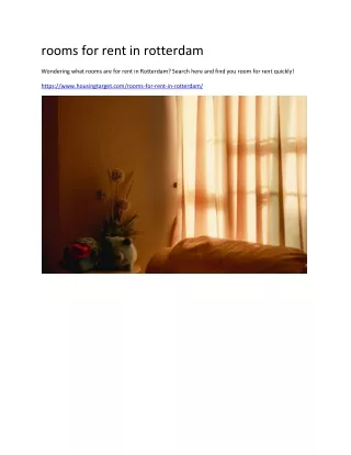 rooms for rent in rotterdam