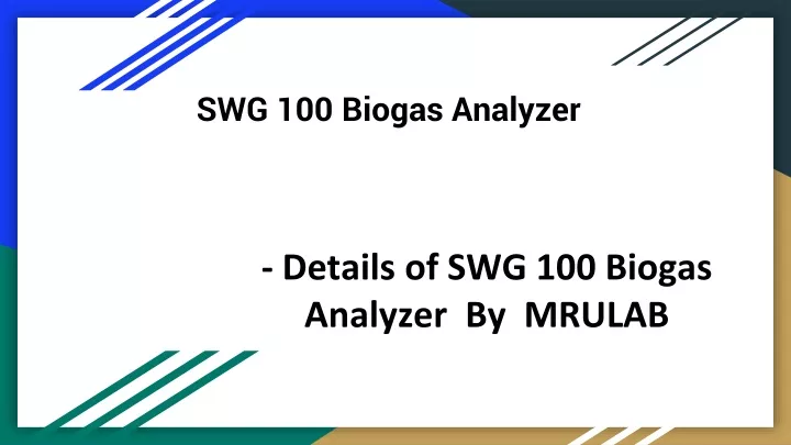 swg 100 biogas analyzer