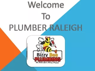 Emergency Plumber Raleigh | | $15 OFF | Bizzy Bee Plumbing, Inc