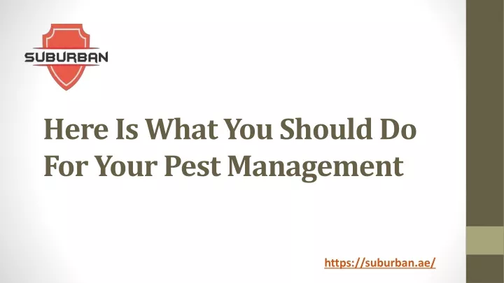 here is what you should do for your pest