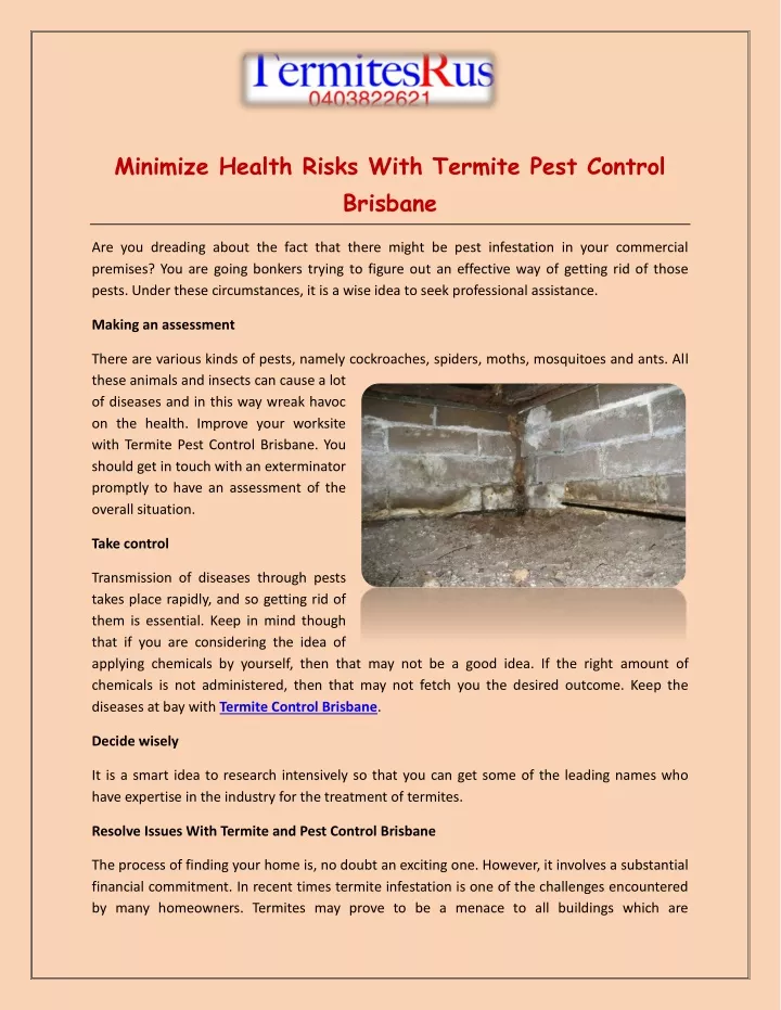 minimize health risks with termite pest control