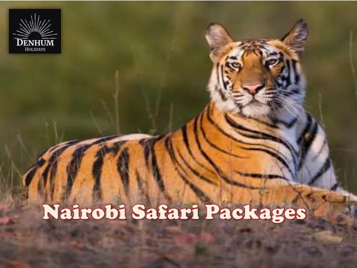 nairobi safari packages