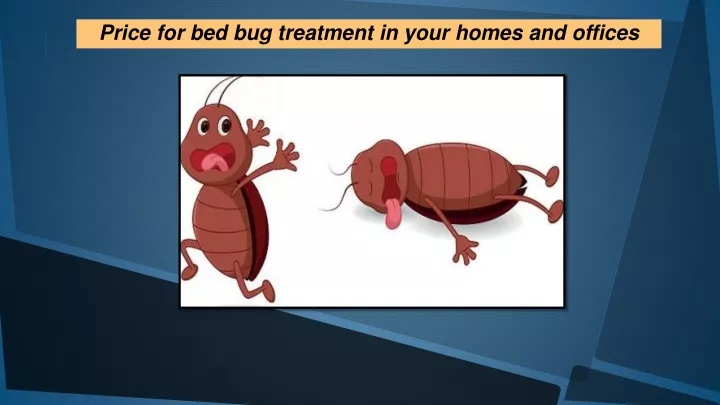 price for bed bug treatment in your homes