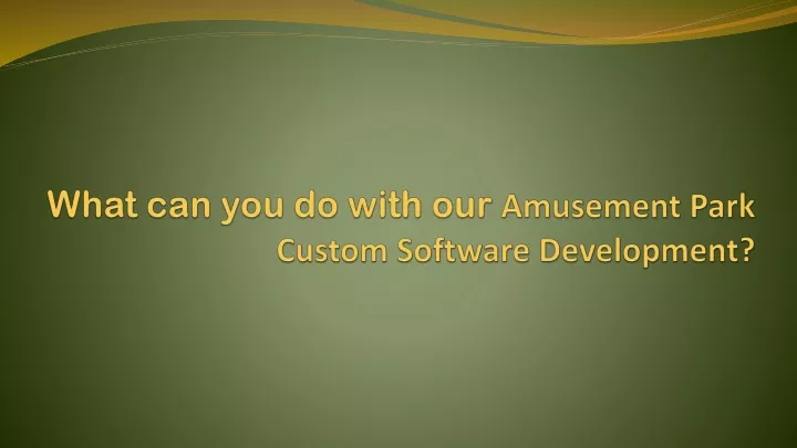 what can you do with our amusement park custom software development