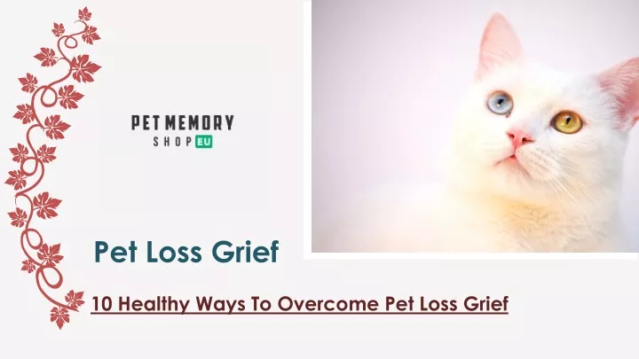 pet loss grief