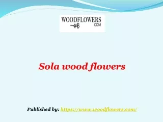 Sola wood flowers