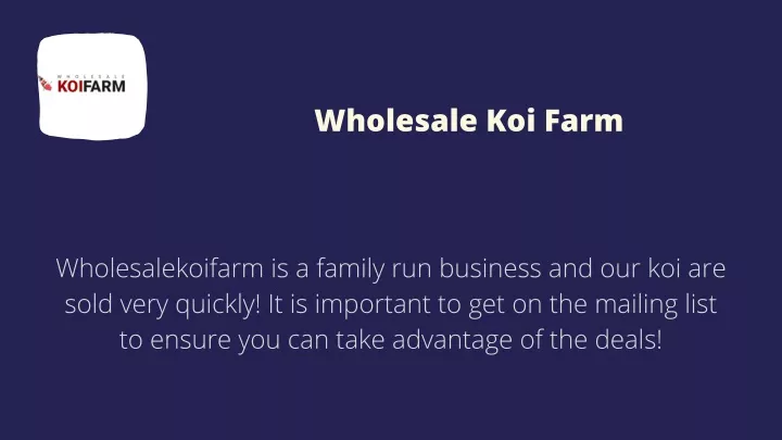 wholesale koi farm