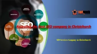 Assessing the Best SEO company in Christchurch