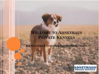 Animal Care in Shelby-Adneyhauskennels-Donna Accomplishments