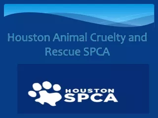 Houston Animal Cruelty and Rescue SPCA