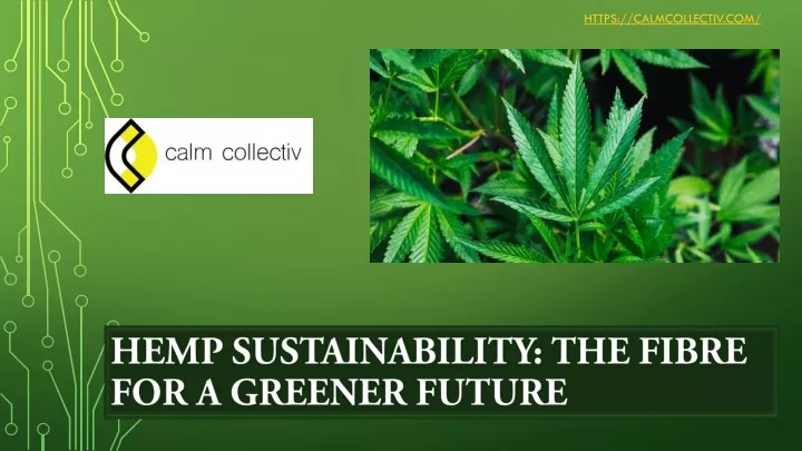 hemp sustainability the fibre for a greener future