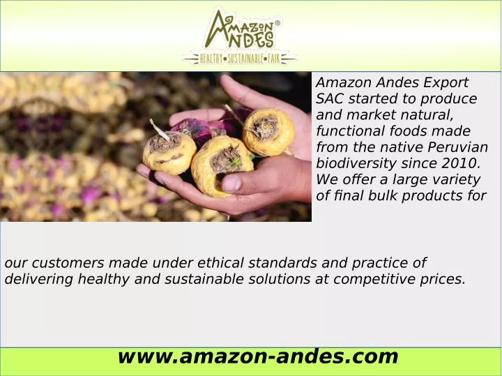amazon andes export sac started to produce