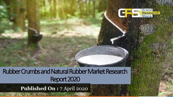 rubber crumbs and natural rubber market research