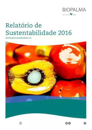 Relatorio Sustentabilidade 2016_BIOPALMA DA AMAZÔNIA S.A.