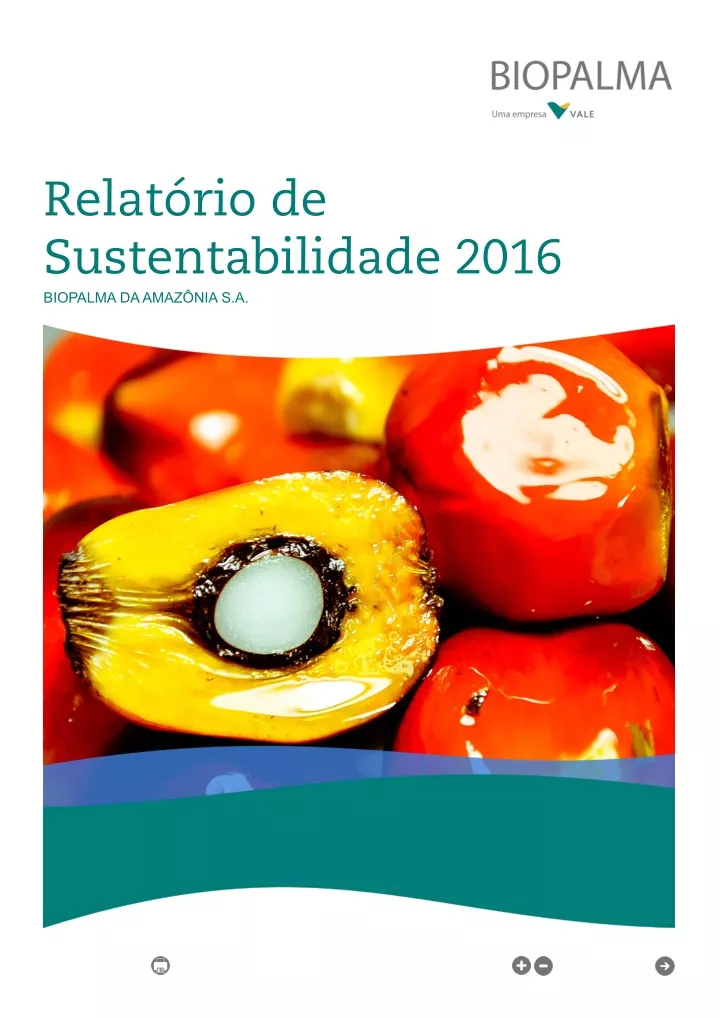 relat rio de sustentabilidade 2016 biopalma