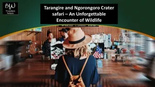 Tarangire and Ngorongoro Crater safari – An Unforgettable Encounter of Wildlife